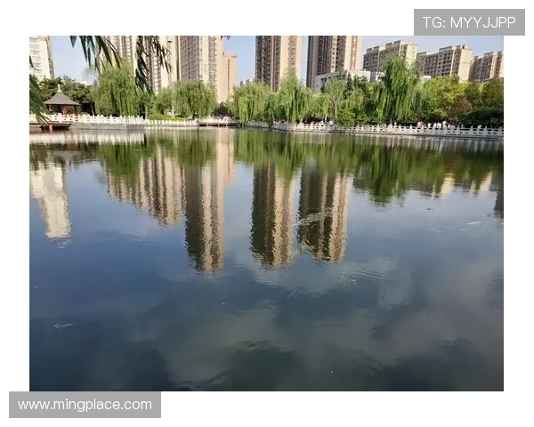 凯发娱乐网娱乐用户体验优化措施提升平台操作便捷性与用户满意度